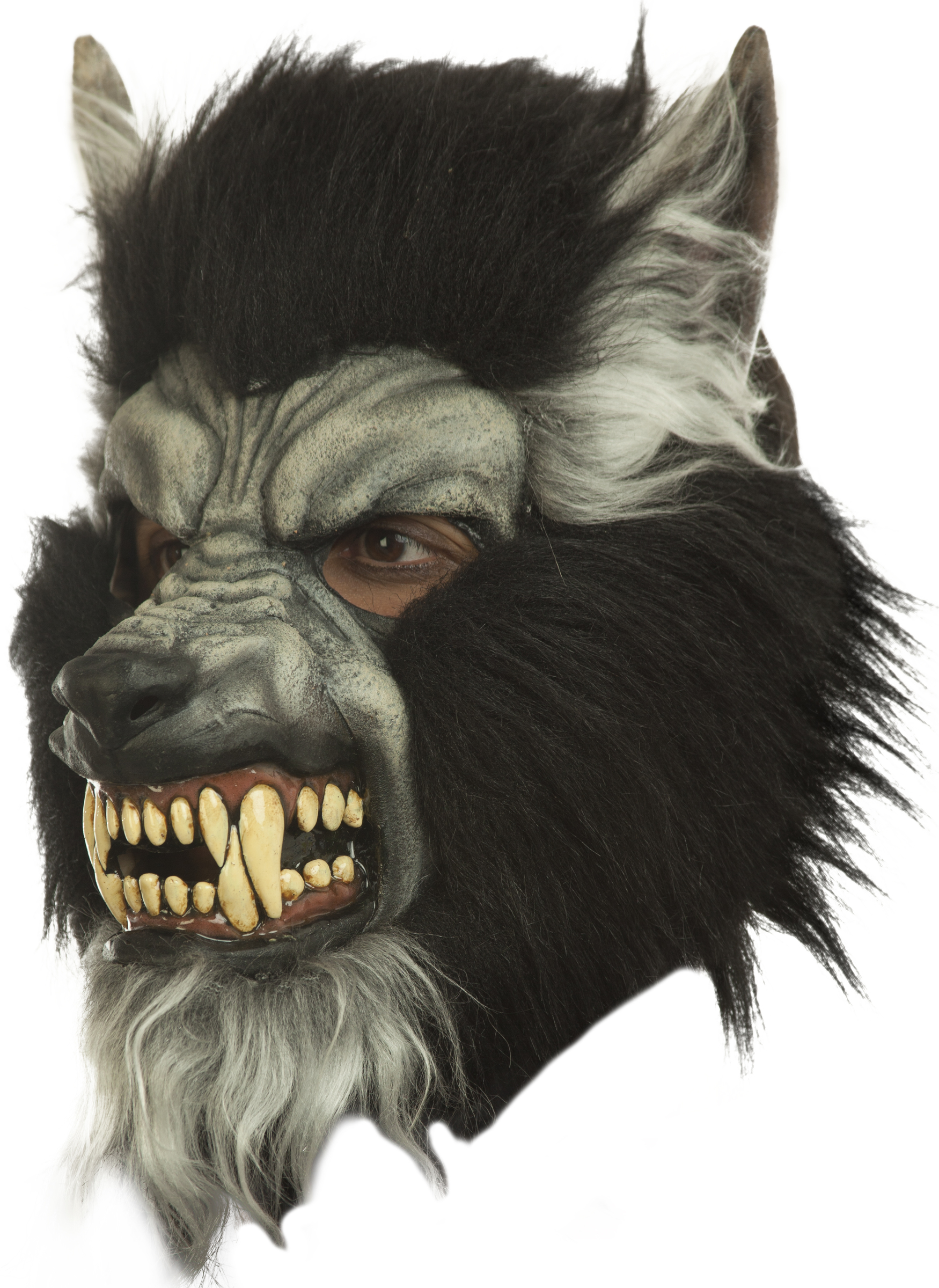 vacío hueco Masacre Comprar Máscara Hombre Lobo Pelo adulto > Mascaras de Terror para Disfraces > Máscaras para Disfraces > Máscaras de Hombres Lobos para Disfraces | Tienda de disfraces en Madrid, disfracestuyyo.com vacío hueco Masacre Comprar Máscara Hombre Lobo Pelo adulto > Mascaras de Terror para Disfraces > Máscaras para Disfraces > Máscaras de Hombres Lobos para Disfraces | Tienda de disfraces en Madrid, disfracestuyyo.com