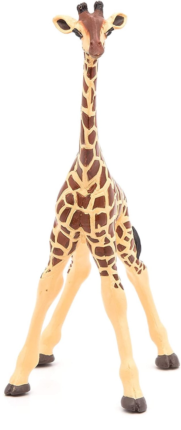 electo parrilla Ridículo Comprar Figura Jirafa Cria- Papo > Juguetes, Figuras de Colección, Juegos > Figuras de Colección Papo > Figuras Animales Salvajes Papo | Tienda de disfraces en Madrid, disfracestuyyo.com electo parrilla Ridículo Comprar Figura Jirafa Cria- Papo > Juguetes, Figuras de Colección, Juegos > Figuras de Colección Papo > Figuras Animales Salvajes Papo | Tienda de disfraces en Madrid, disfracestuyyo.com