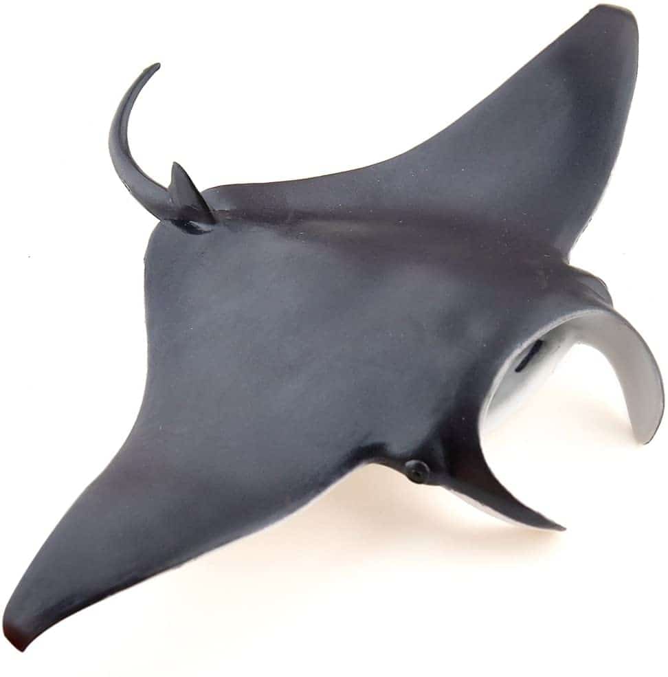 Figuras Animales Marinos Colección Papo Figuras Animales Marinos Colección Papo