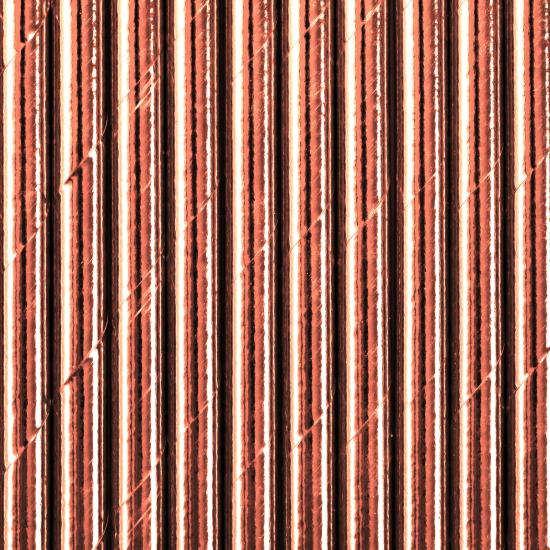 10 pajitas oro rosas de papel - Tropical Wedding