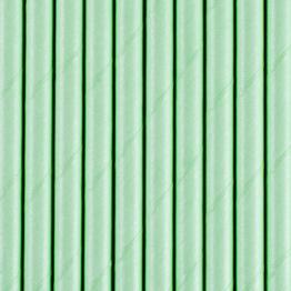 10 pajitas verdes menta de papel