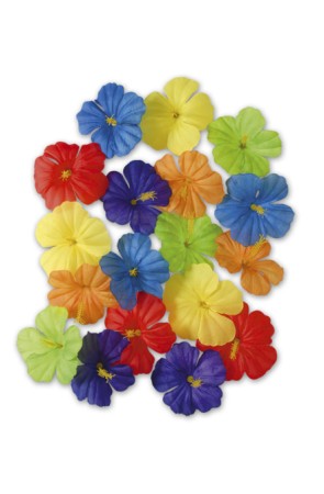 18 Flores adorno hawaianas