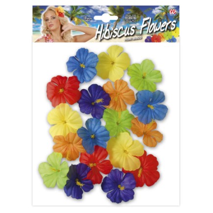 18 Flores adorno hawaianas