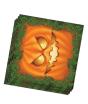 20 Servilletas 33 x 33 cm Halloween Calabazas