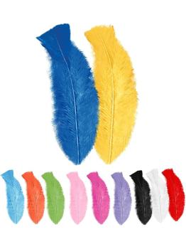 50 Plumas Adulto Unisex, Brasileños, Carnaval Brasileño, Fiestas Temáticas, 10 Cm Aprox.
