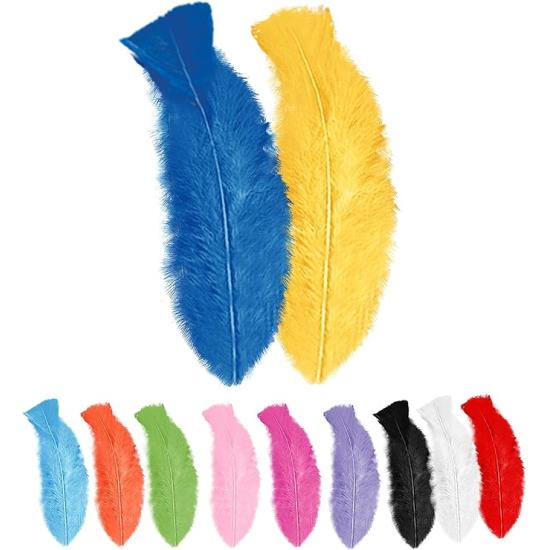 50 Plumas Adulto Unisex, Brasileños, Carnaval Brasileño, Fiestas Temáticas, 10 Cm Aprox.