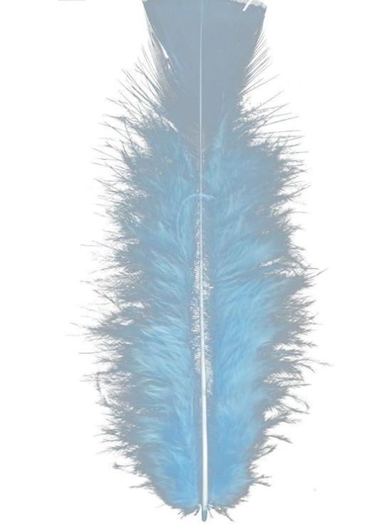 50 Plumas Adulto Unisex, Brasileños, Carnaval Brasileño, Fiestas Temáticas, 10 Cm Aprox.