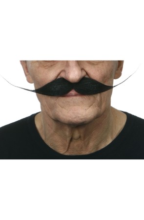 Bigote de loco pintor para hombre