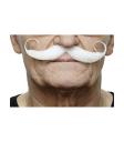 Bigote francés canoso elegante para hombre