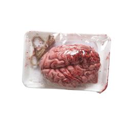Cerebro sangriento al vacío