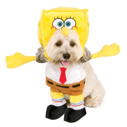 Disfraz de Bob Esponja para perro con capucha