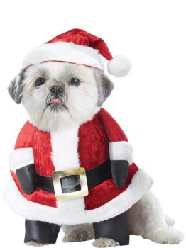 Disfraz de Papá Noel para perro