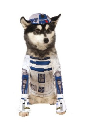 Disfraz de R2D2 para perro
