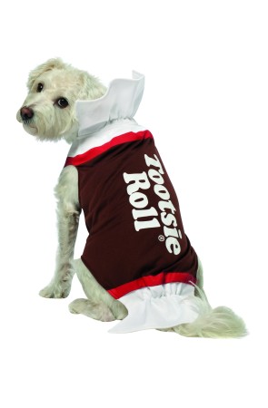 Disfraz de dulce de chocolate para perro