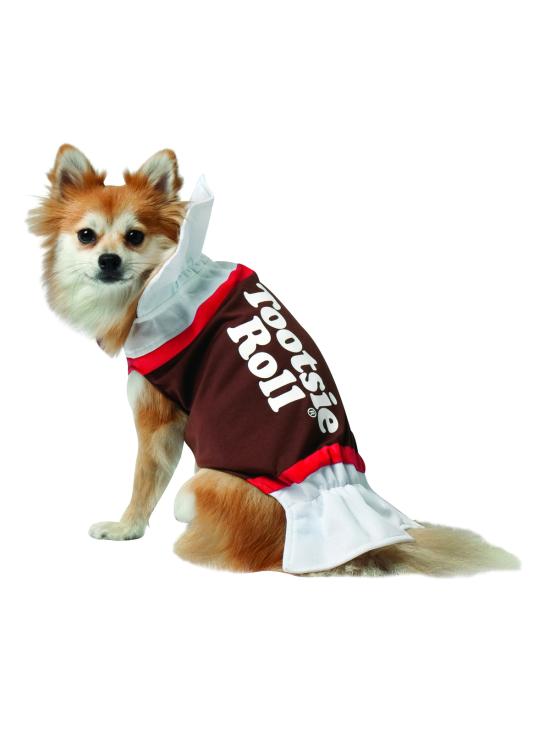 Disfraz de dulce de chocolate para perro