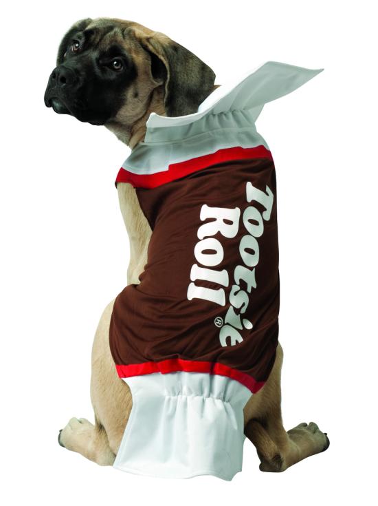 Disfraz de dulce de chocolate para perro