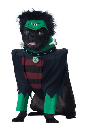 Disfraz de frankenperro para perro