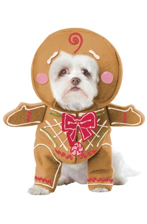 Disfraz de galleta de jengibre para perro