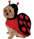 Disfraz de mariquita para perro
