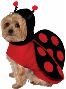 Disfraz de mariquita para perro