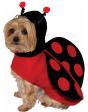 Disfraz de mariquita para perro