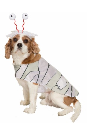 Disfraz de momia para perro