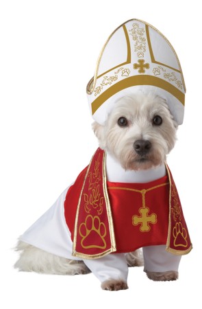 Disfraz de papa para perro