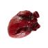 Figura decorativa de corazón sangriento