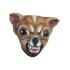 Máscara de perro Chihuahua para adulto
