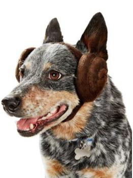 Orejas de la princesa Leia Star Wars para perro