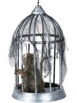 Rata enjaulada