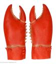 Set de 2 pinzas de cangrejo para adulto