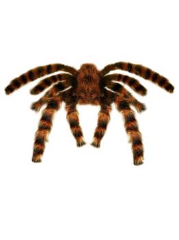 Tarántula moldeable de 65 cm.