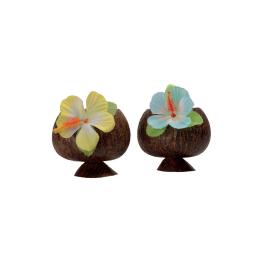 Vaso de coco hawaiano