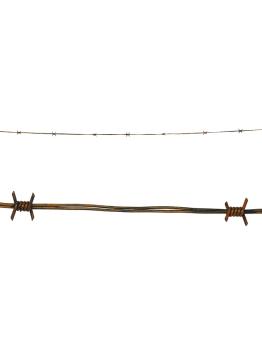 Alambre Espinoso 210 cms