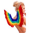 Alas de Pluma Arco Iris 60 x 40 cms