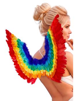 Alas de Pluma Arco Iris 60 x 40 cms