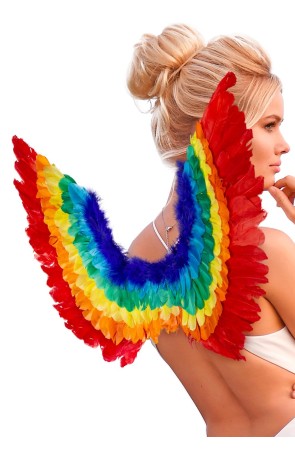 Alas de Pluma Arco Iris 60 x 40 cms
