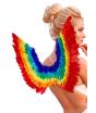 Alas de Pluma Arco Iris 60 x 40 cms