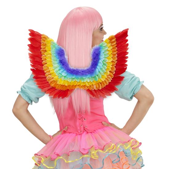 Alas de Pluma Arco Iris 60 x 40 cms