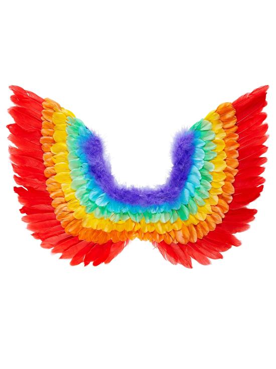 Alas de Pluma Arco Iris 60 x 40 cms
