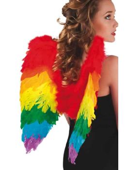 Alas De Plumas Arcoiris de 50x50Cm