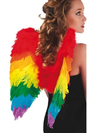 Alas De Plumas Arcoiris de 50x50Cm