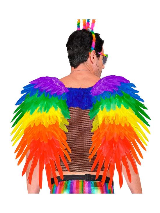 Alas De Plumas Arcoiris de 50x50Cm