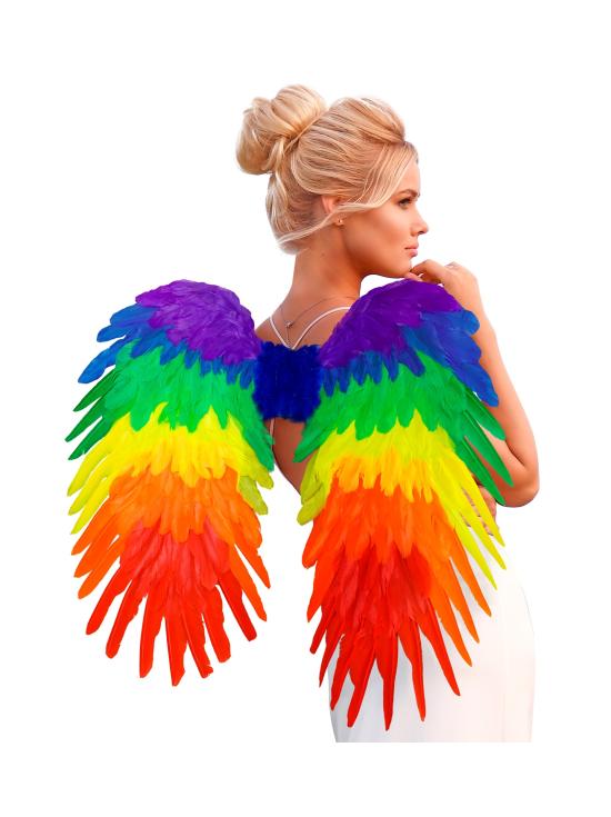 Alas De Plumas Arcoiris de 50x50Cm