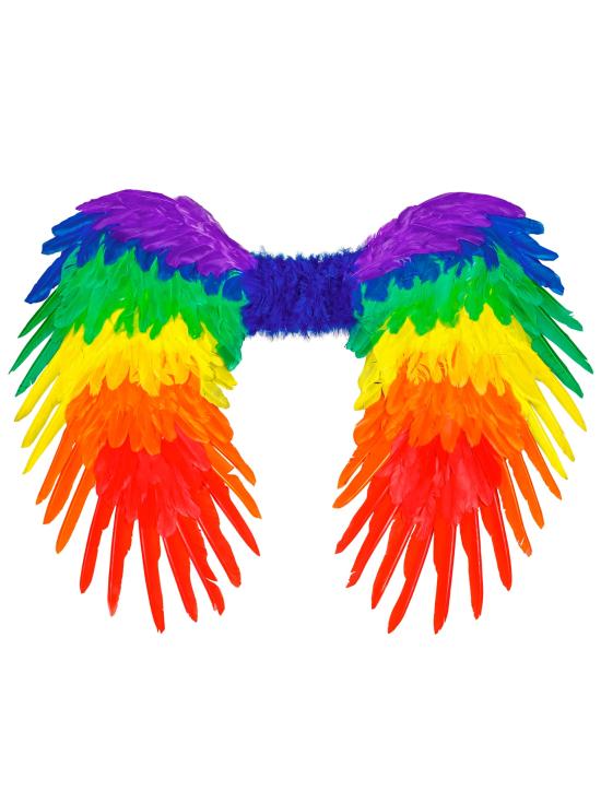 Alas De Plumas Arcoiris de 50x50Cm