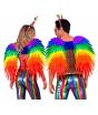 Alas De Plumas Arcoiris de 50x50Cm