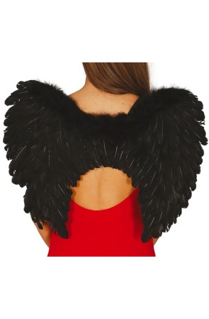 Alas de Plumas negras 60 x 45 cms
