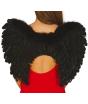 Alas de Plumas Negras 60x50 cm