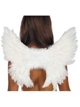 Alas Plumas Blancas 55 X 45 cms